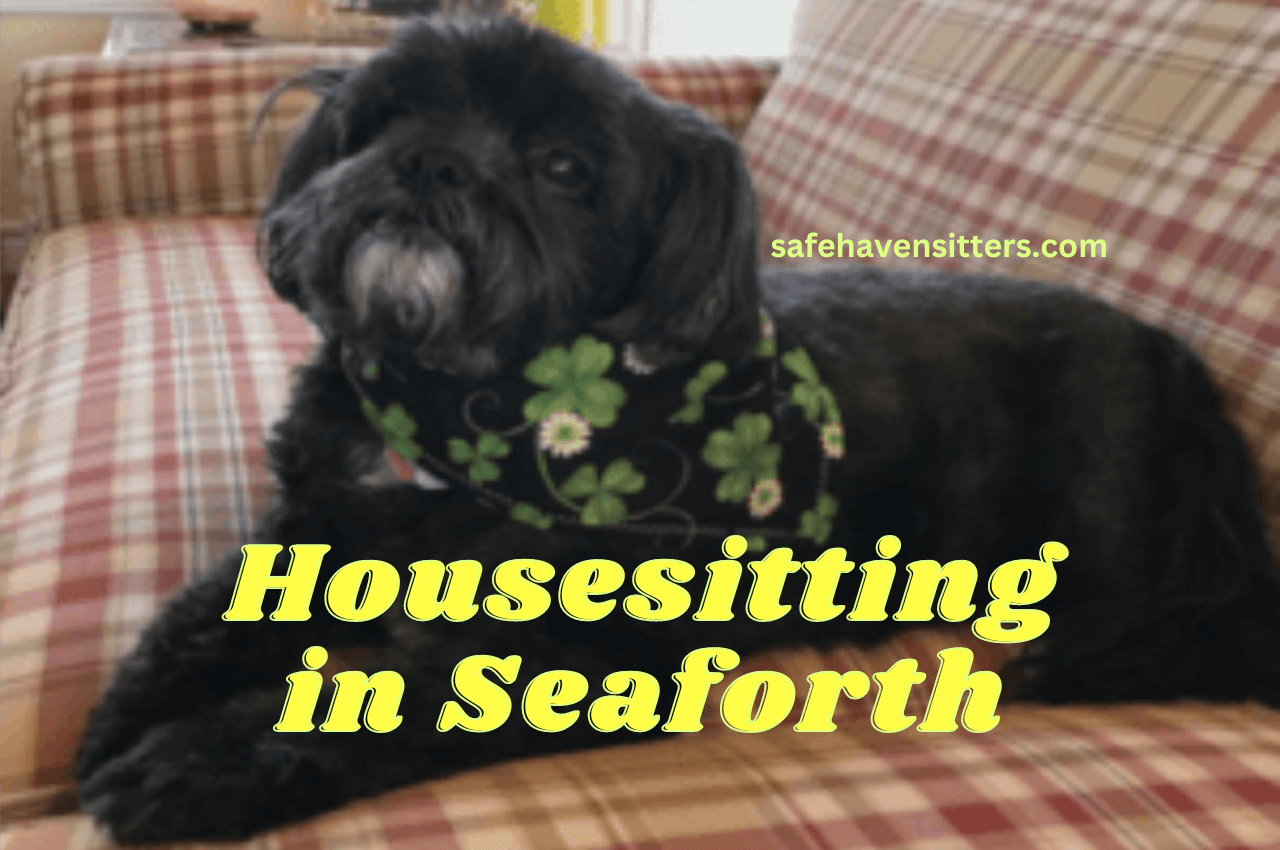 House Sitting in Seaforth: Beginning of New Adventures