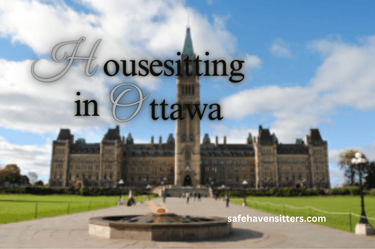 What Makes House Sitting In Ottawa Vibrant And Worthwhile