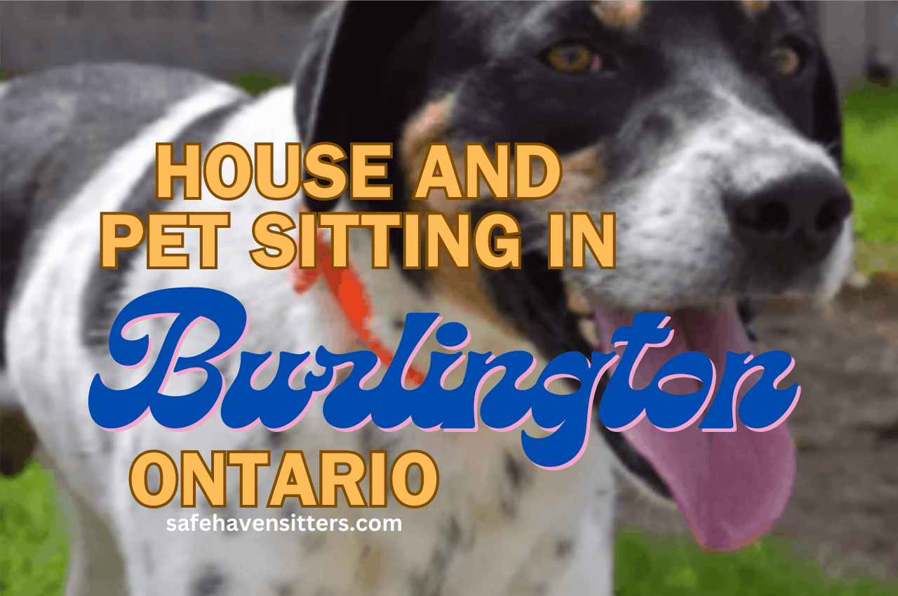 House and Pet Sitting in Burlington Ontario