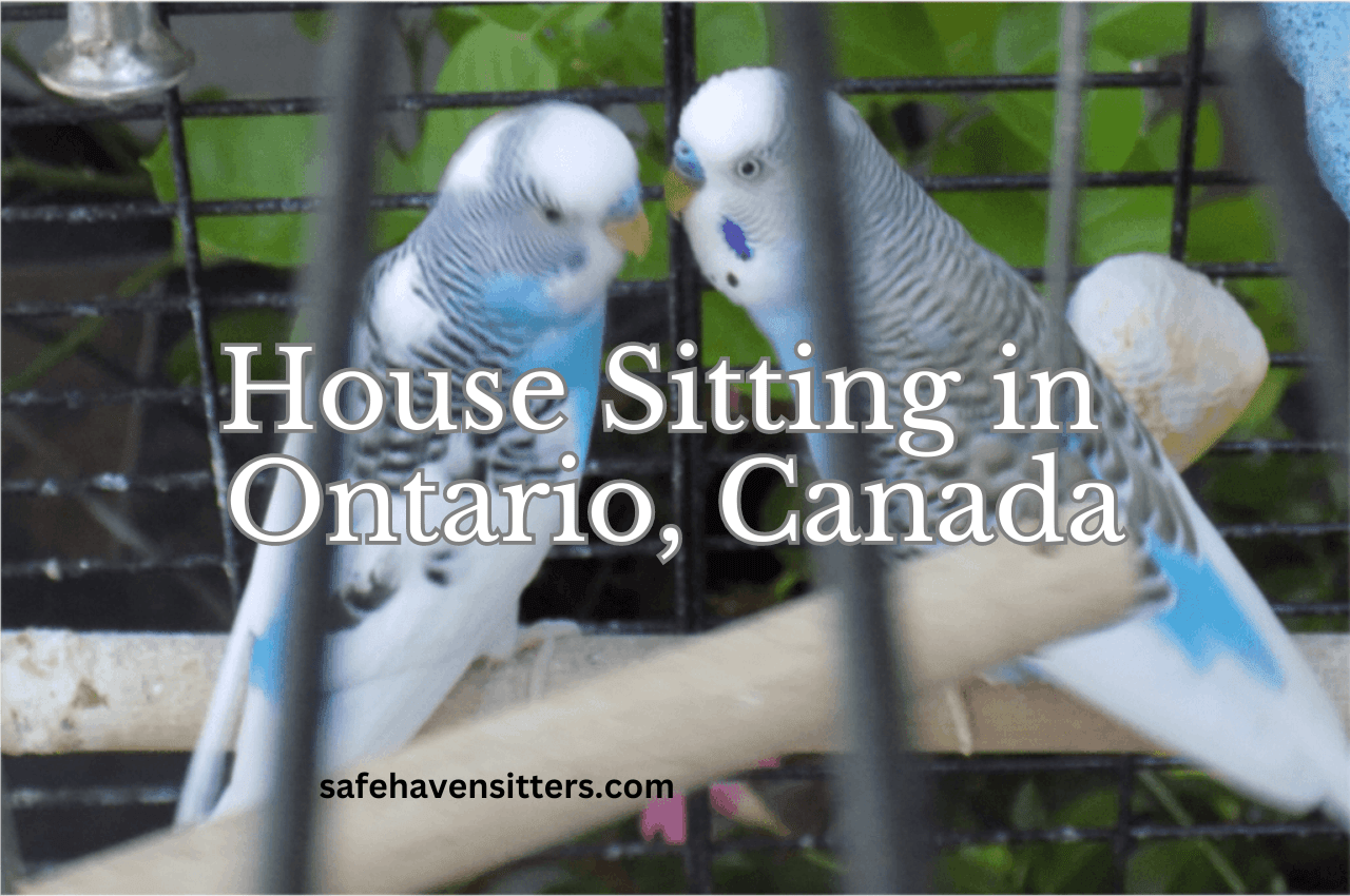 House Sit in Ontario, Canada [Caledon - a rural setting]