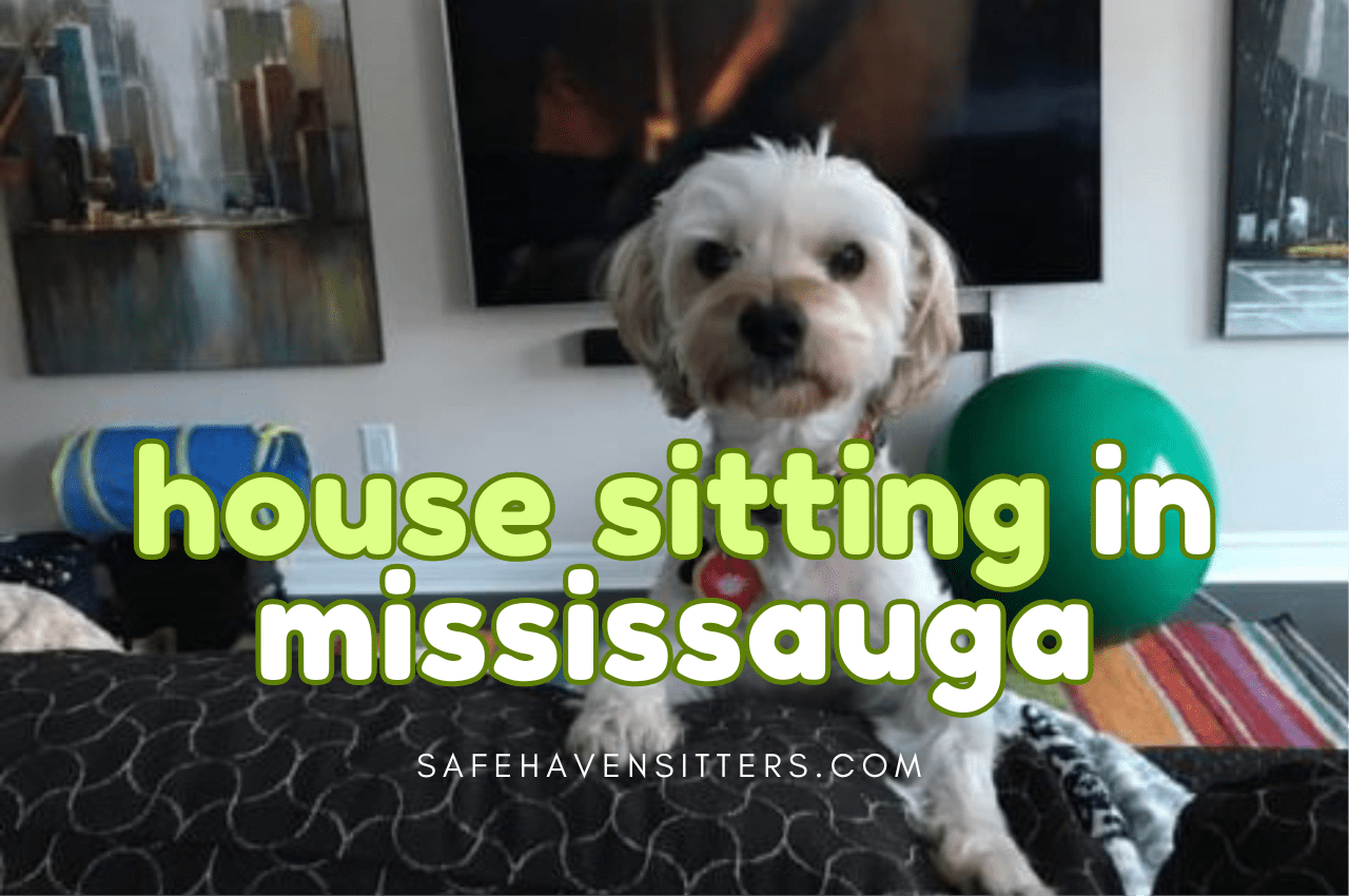 House Sitting in Mississauga Ontario Canada