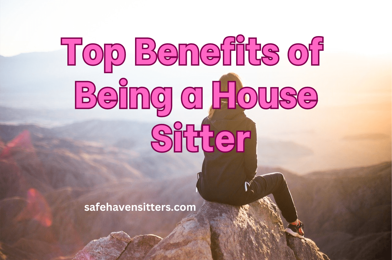 The Ultimate Benefits of Being a House Sitter