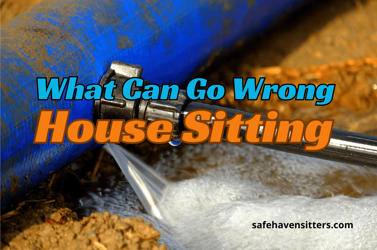 What Can Go Wrong House Sitting - The Simple Truth