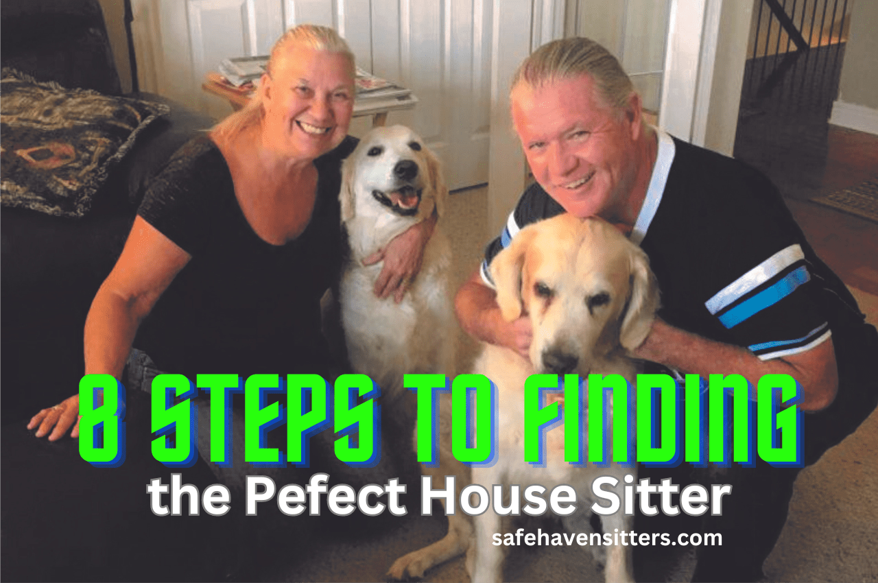 Steps to Finding the Perfect House Sitter: Advice You Need