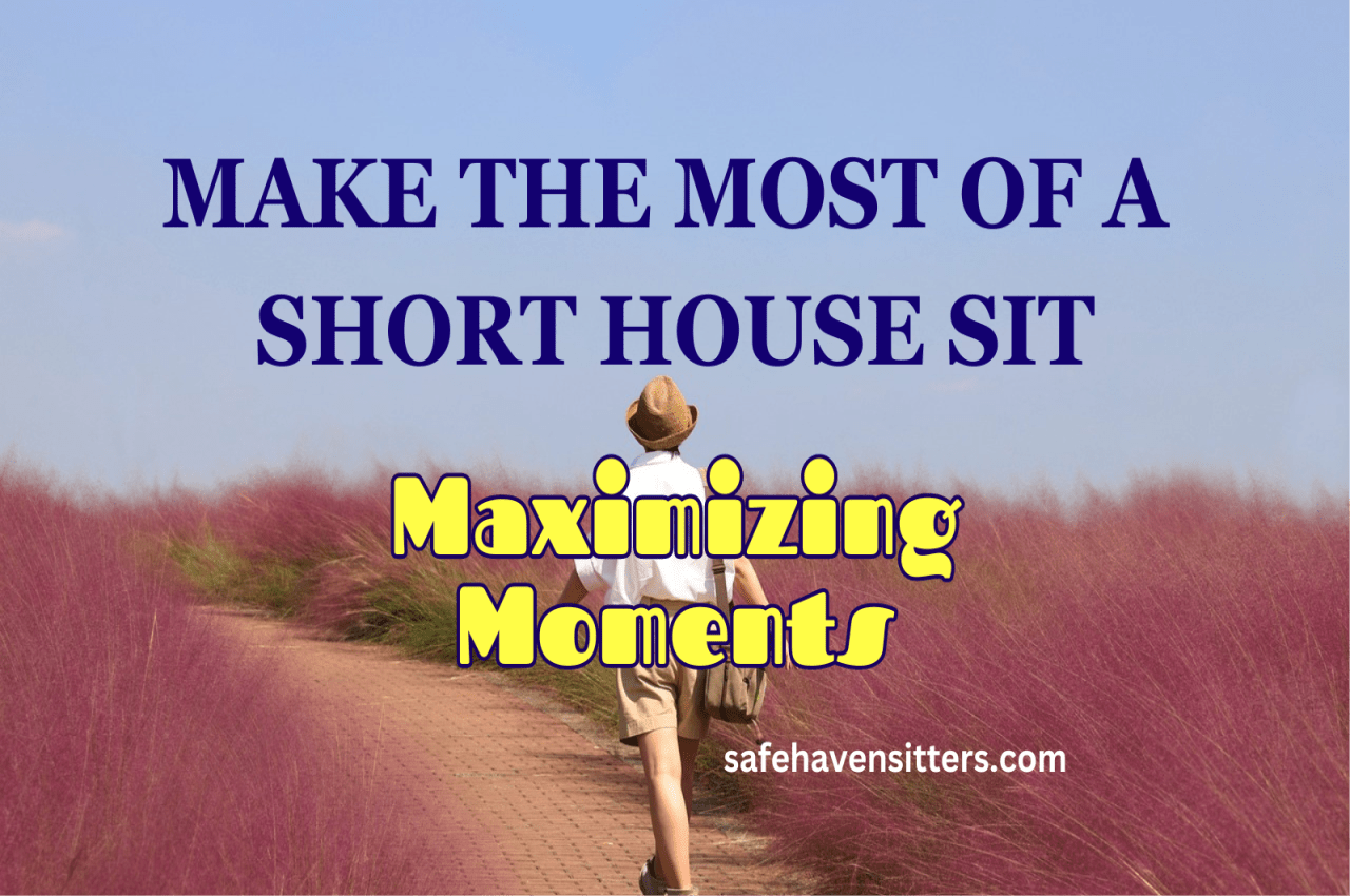 Make The Most Of A Short House Sit: Quality Moments