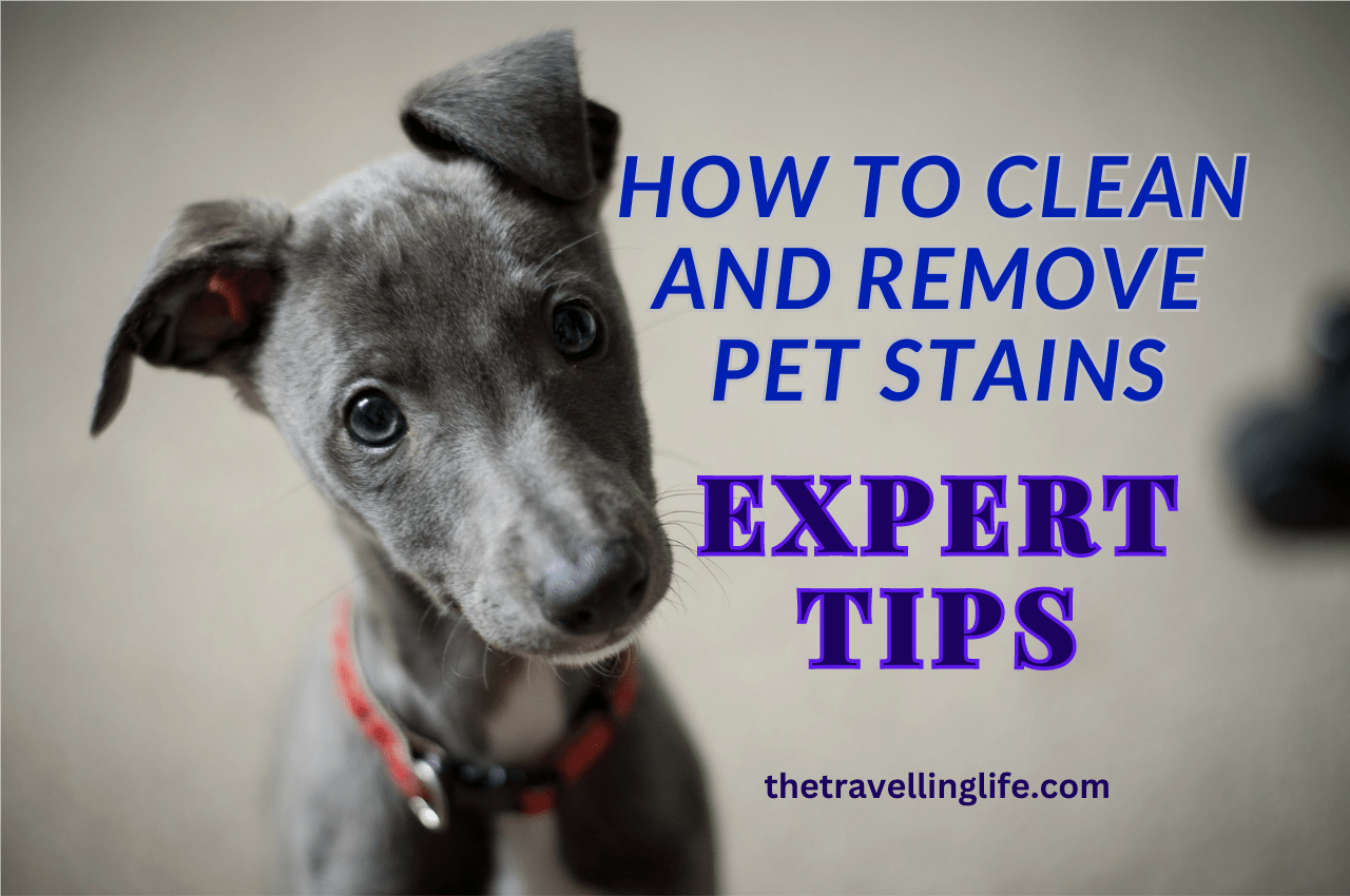 Ways to Clean and Remove Pet Stains: Sweet Smelling Advice