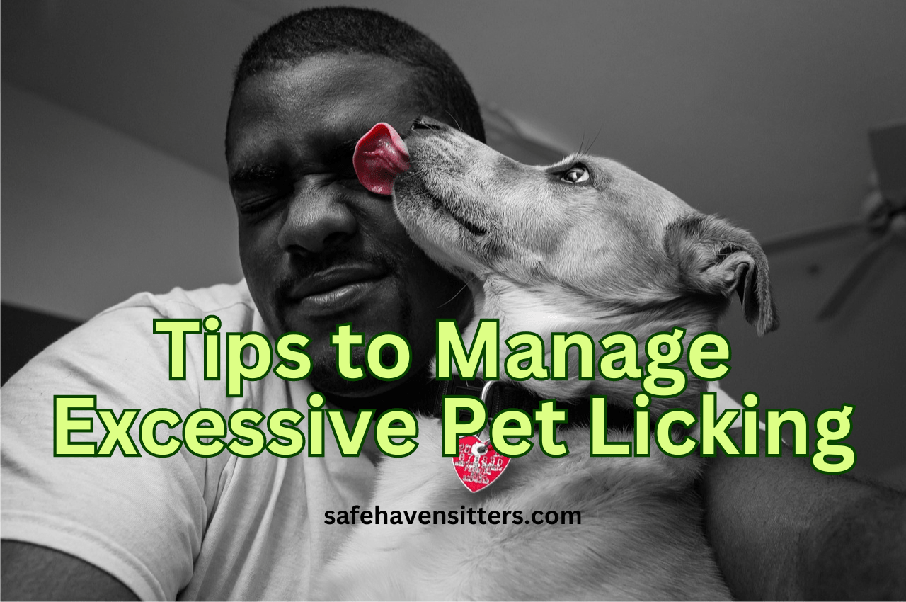 How to Best Manage Excessive Pet Licking [Lick-Free Living]