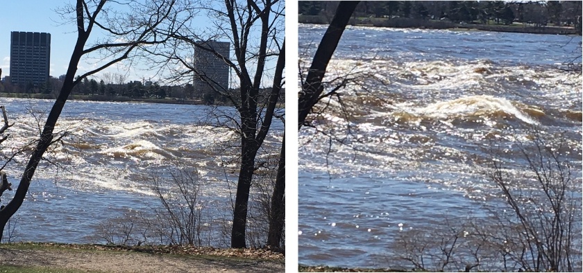 Flooding in Mousette Park, Gatineau, Pet sitting in Quebec