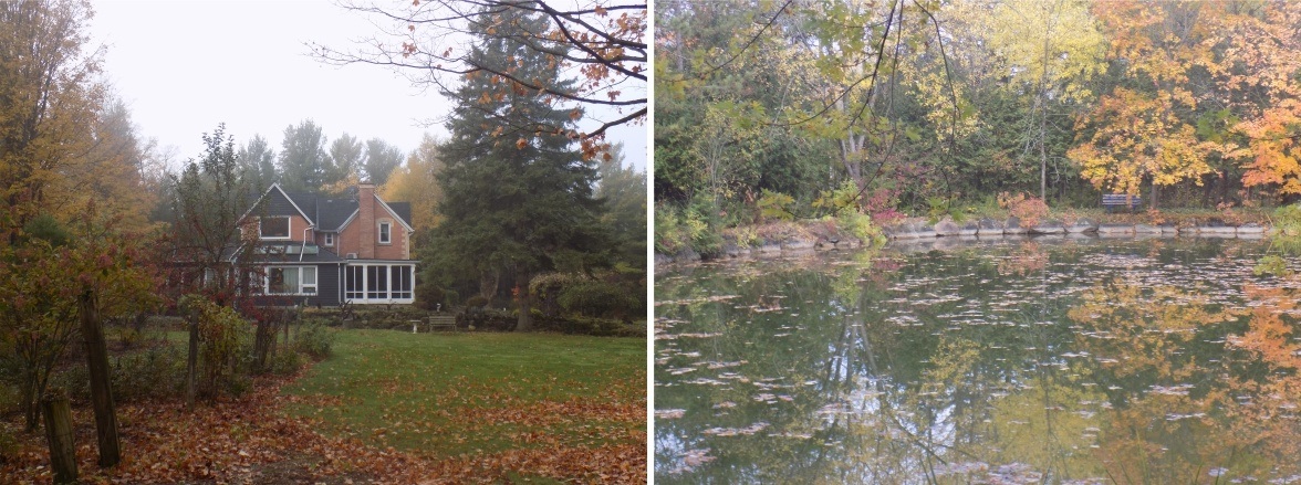 House, Autumn, Trees and Pond, house sitting