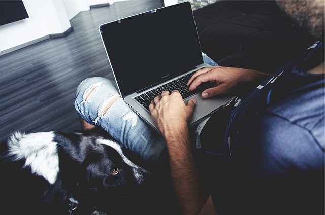 Man working, laptop, future of house and pet sitting