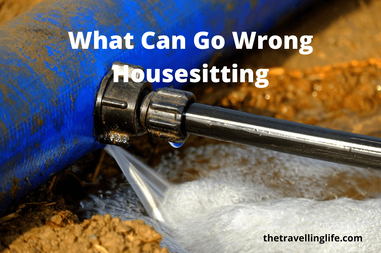 What Can Go Wrong House Sitting