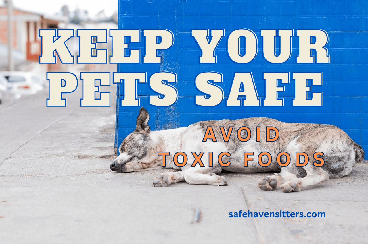 How to Keep Your Pets Safe: Avoid These Toxic Foods