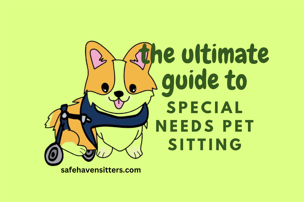 The Ultimate Guide To Special Needs Pet Sitting Success