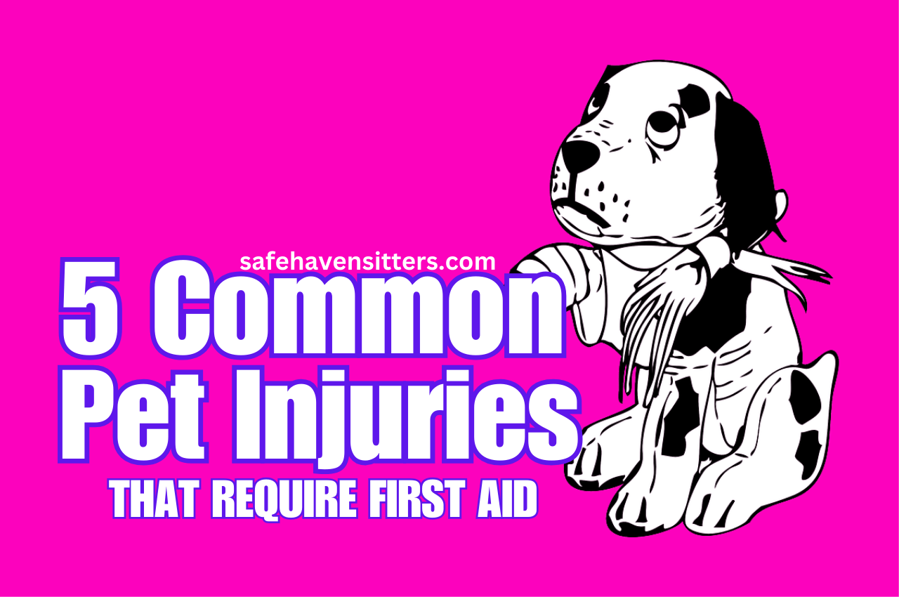 5 Common Pet Injuries: How to Provide First Aid