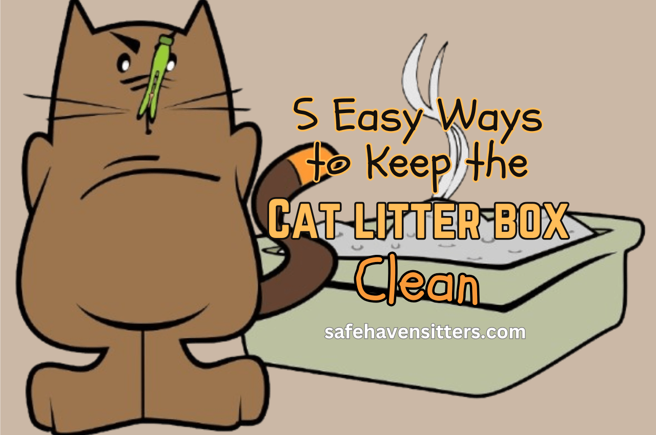 Keep the Cat Litter Box Clean in 5 Easy Ways